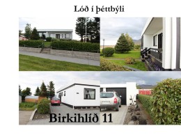 1Birkihlid11