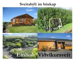 4Einholt