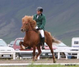 Tryggvi Björnsson og Akkur. Mynd: 