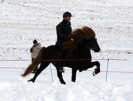 Hans Kjerúlf og Sigur frá Hólabaki Mynd: Hallrún Ásgrímsdóttir