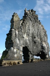Hvítserkur. Mynd: Helgi Guðjónsson