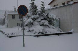 Þessi mynd var tekin 1. vetrardag á Sauðárkróki, ekki ólíklegt ef spáin gengur eftir að allt fari á kaf í snjó