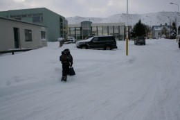 Best að reyna að koma sér upp í snjóinn það er öruggara en gatan eftir allt saman