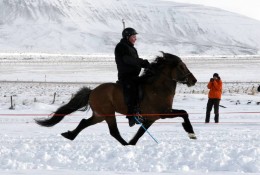 Jón og Fróði  Mynd: Hallrún Ásgrímsdóttir