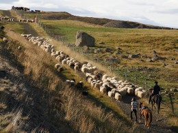 Veðrið lék við menn og dýr.