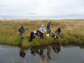 Silaveidar_2009_006 Einbeittir veiðimenn. Mynd; Húnavallaskóli.is