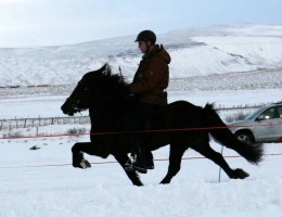 Valdimar Bergstað - Mynd: Hallrún Ásgrímsdóttir
