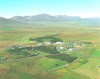 Reykjarhólsskógur Mynd:Nat.is