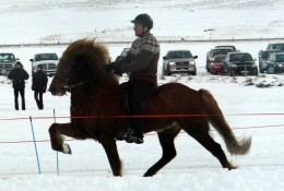 Vignir og Ómur. Mynd: Hallrún Ásgrímsdóttir