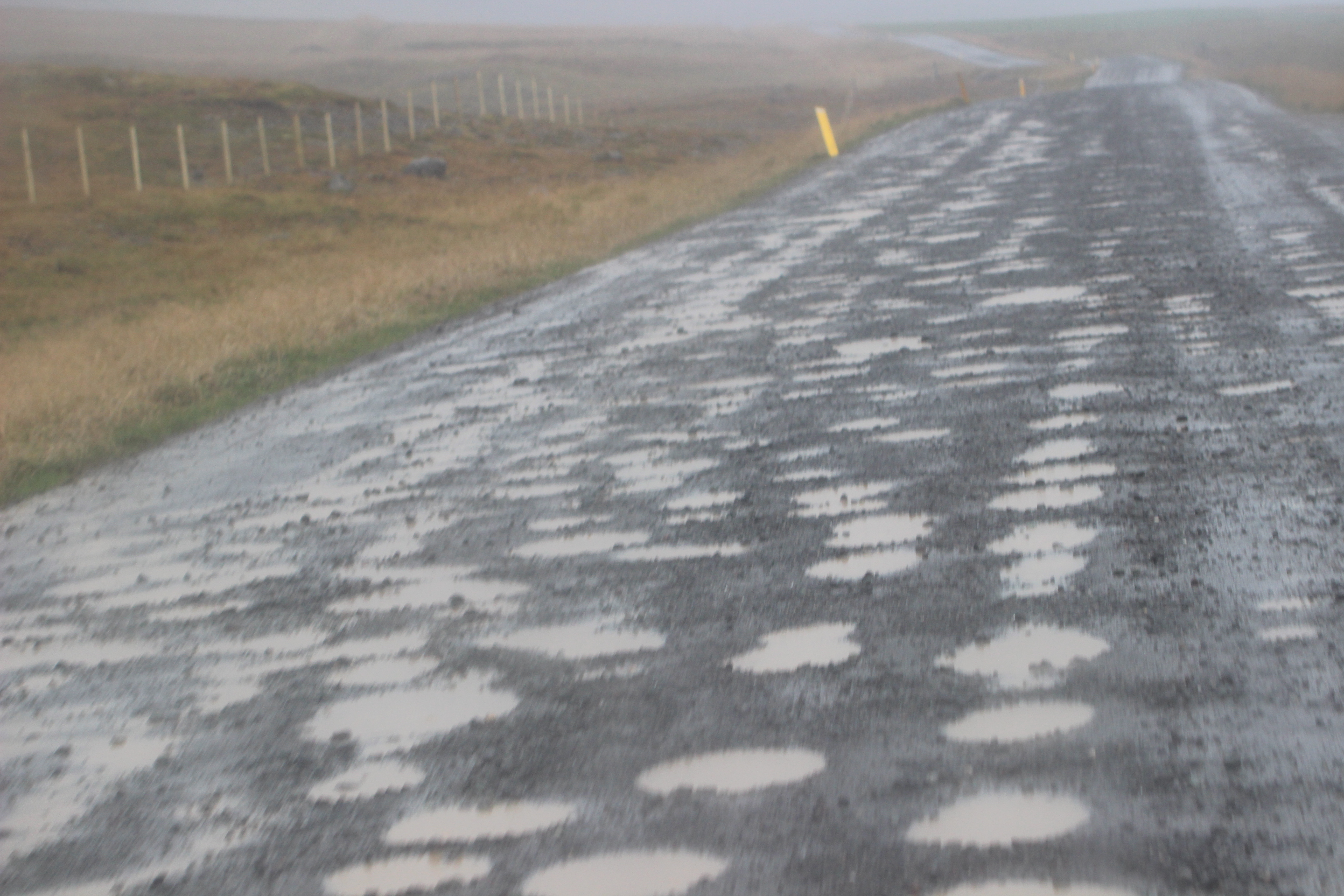 Holóttur vegur á Reykjaströnd.