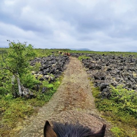 Á leið frá Sandi. Rudd braut í gegnum hraunið en víða voru sprungur og holt undir klöppunum.