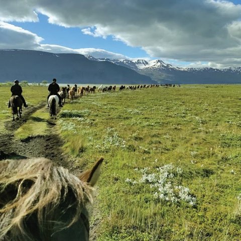 Áleiðis að Sandi. Sér í Miklavatn,Kinnarfjöllin innan seilingar.