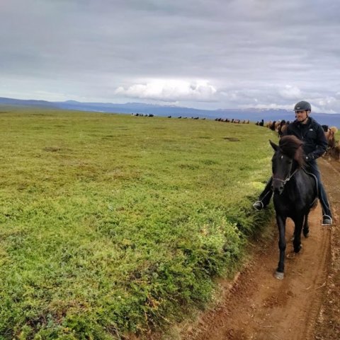 Hrossin liprðuðu sig laglega eftir moldargötunni fram Fljótsheiðina.Valberg á Stóra Vatnshorni á undan.