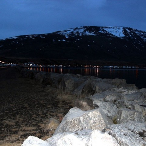 andarnefja 001