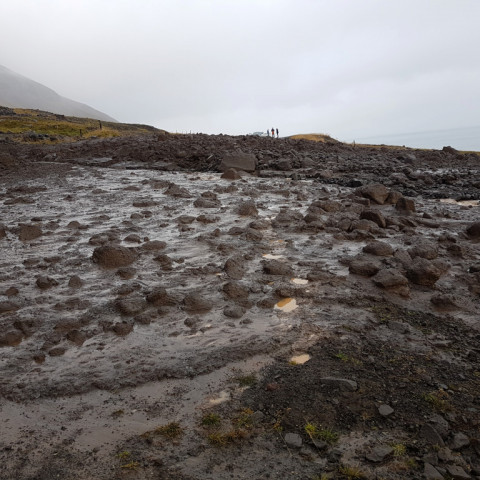 Ferðamenn innlyksa norðan egin skriðunnar. Mynd: Alda Jóns.