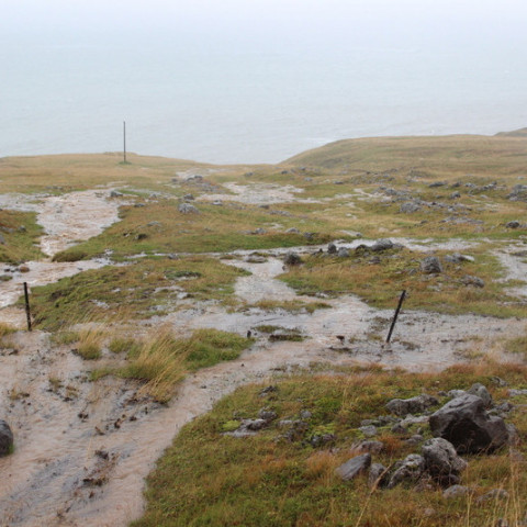 Mikið bleytuveður var um helgina og flæddi vatn víða. Þessi mynd er tekin sl. þriðjudag og sýnir hvernig flæðir um neðan skriðunnar.