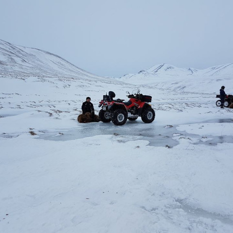 Fallegur dagur á fjöllum.