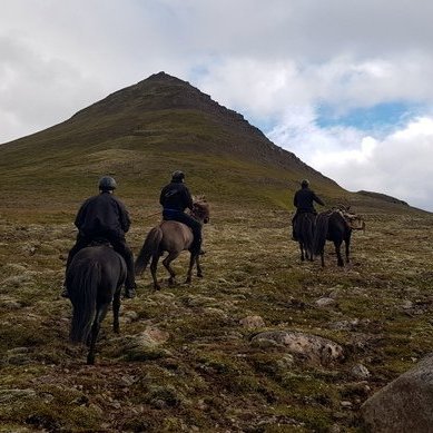 Leiðin er brött upp á fjárgöturnar sem liggja inn dalinn. 