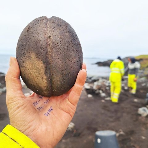 Myndarlegur vaðsteinn.