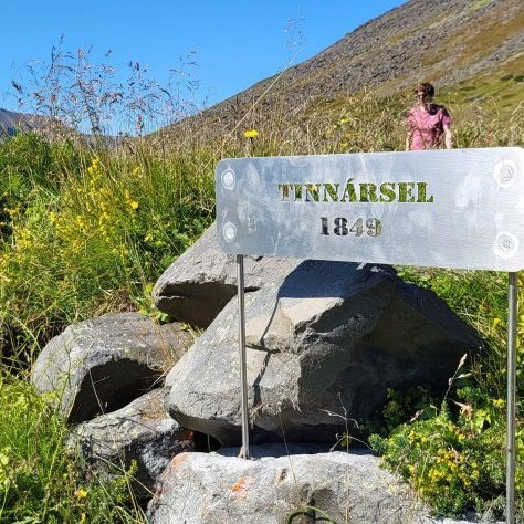 tinnarsel.jpg