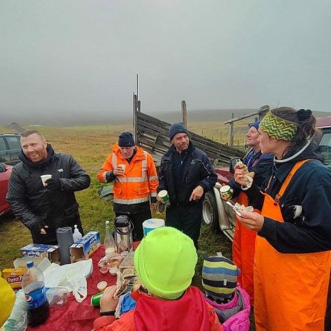 Farið yfir málin. Frávinstri Egill og Bjarni á Hvalnesi, Friggi Steins í Hvammi, Steini á Hrauni og Þorgerður Betína Friðriksdóttir.