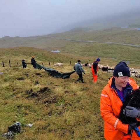 Rekið inn á Sævarlandi.