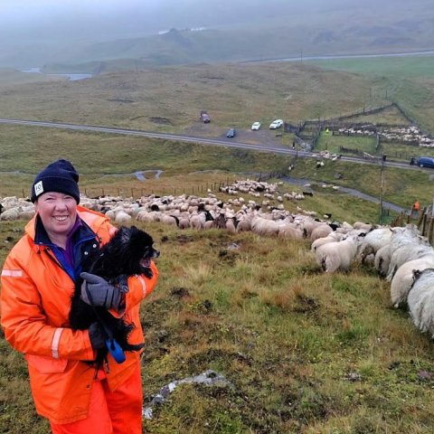 Hljóðin í hundinum Hörpu voru eins og slúðr í viftureim, svo hás var hann orðinn.