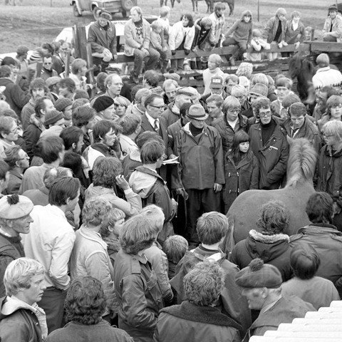 Uppboð á hesti á Verslunarmannahelgarmóti skagfirsku hestamannafélaganna á Vindheimamelum árið 1980. Marinó Sigurðsson oddviti og hreppsstjóri á Álfgeirsvöllum stjórnaði uppboðinu. Á myndinni má sjá marga þekkta hestamenn.