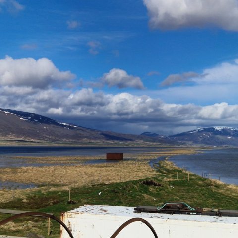 20250508_102919.jpg