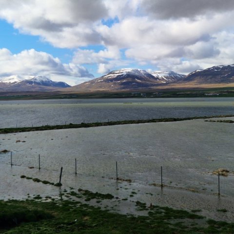 20250508_102939.jpg