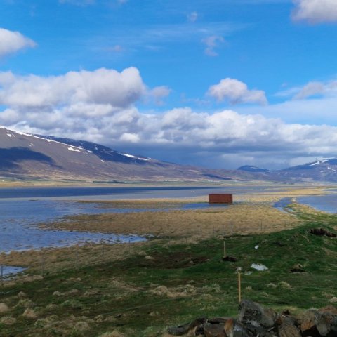 20250508_102945.jpg