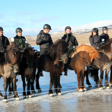 Verðlaun B flokkur 2018