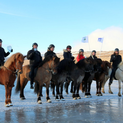 Verðlaun Tölt 2018