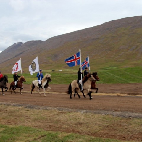 Frá kynningu landsmótssvæðis á Hólum í Hjaltadal. Ljósm./BÞ