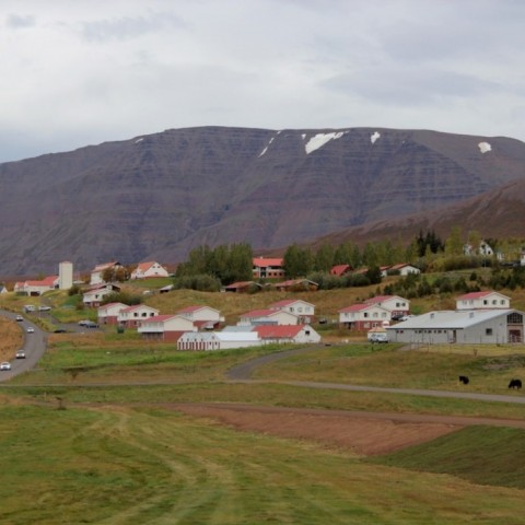 Frá kynningu landsmótssvæðis á Hólum í Hjaltadal. Ljósm./BÞ