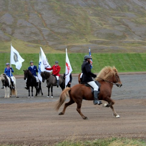 Magnús Bragi Magnússon frá Íbishóli tók fyrsta sprettinn á vellinum á Birtu frá Laugardal en hún er hæst dæmda hrossið í Skagafirði þetta árið, með einkunnina 8,82 í hæfileika.  