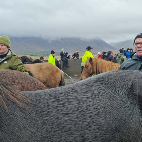 vesteinn-og-bergur..jpg
