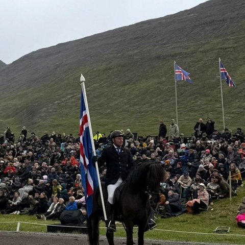 elvar for fyrir fanareiðinni.jpeg