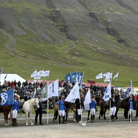 fanaberarnir glæsilegir.jpeg