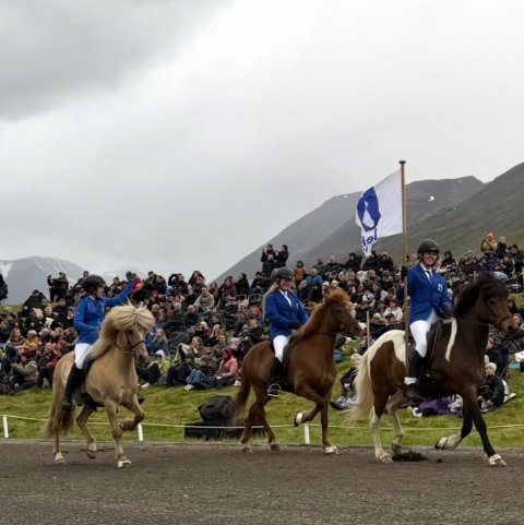 lið neista i hopreið-1.jpeg