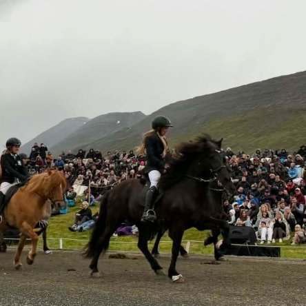 lið Þyts.jpg