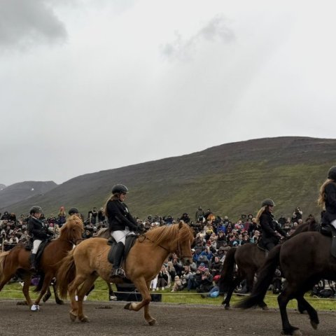 lið Þyts i hopreið.jpeg