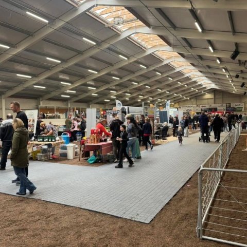 Fullt af stölubásum.jpg
