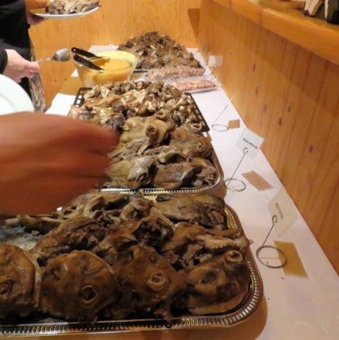 0000054271-img_0462