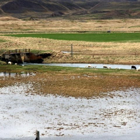 sjomannadagur-094