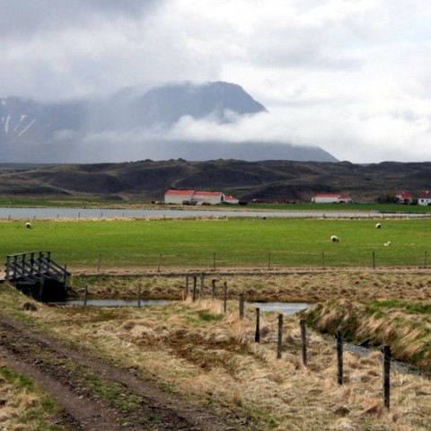 sjomannadagur-096