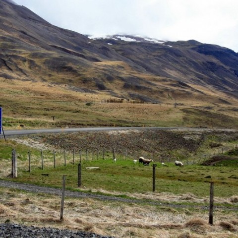 sjomannadagur-098