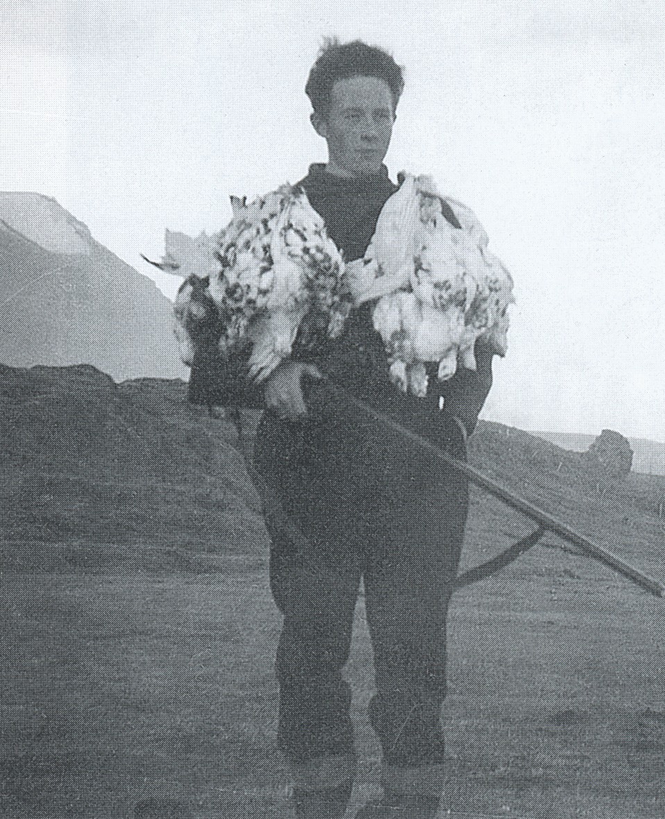 Sigurfinnur með bráð sína árið 1952. Myndin er úr einkasafni og birtist í ævisögu Sigurfinns, Háspenna lífshætta, sem Árni Gunnarsson ritaði.