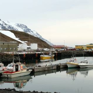 Gagnrýna hugmyndir stjórnvalda um hrognkelsaveiðar