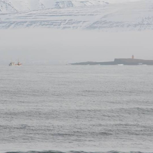 Gróðursetning til heiðurs Vigdísar Finnbogadóttur